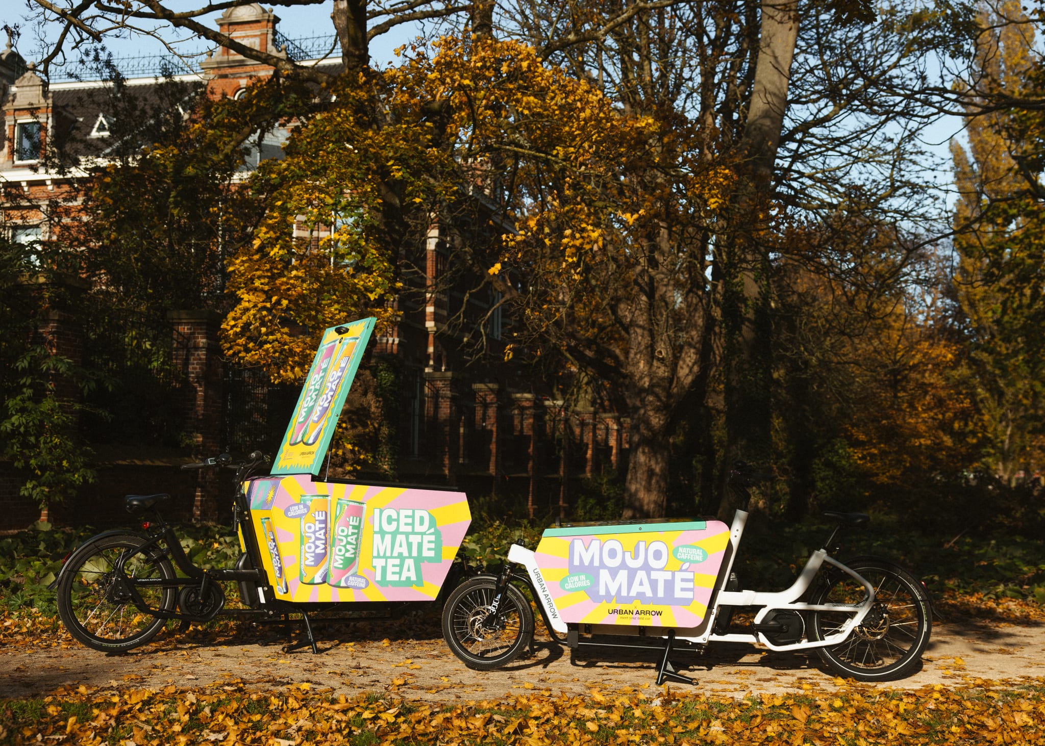 Urban Arrow X Mojo Maté