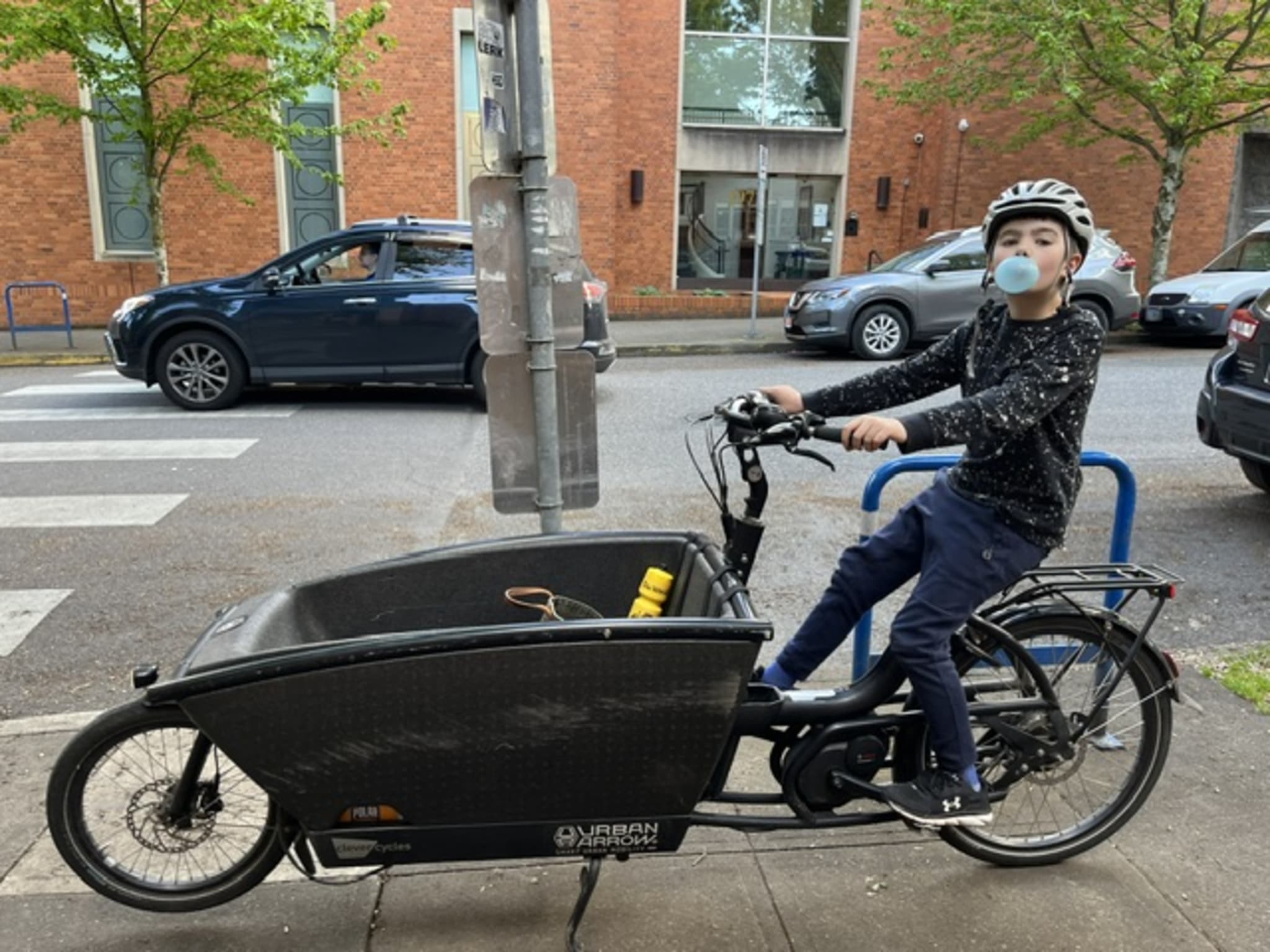 The cargo bike chronicles: a story by Stephanie Zakovics